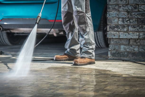 Best Dumpster Area Cleaning  in Bohemia, NY