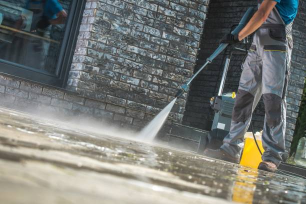 Best Animal Enclosure Cleaning  in Bohemia, NY